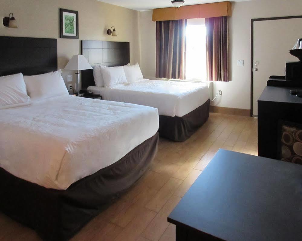Quality Inn & Suites בייקרספילד מראה חיצוני תמונה