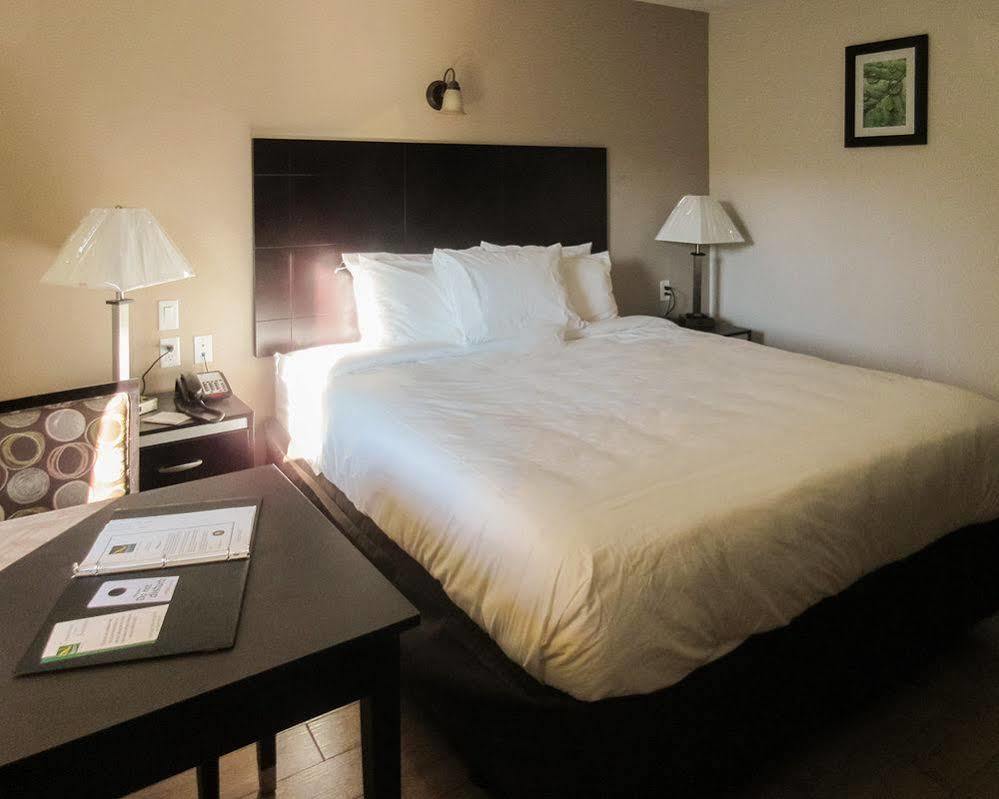 Quality Inn & Suites בייקרספילד מראה חיצוני תמונה